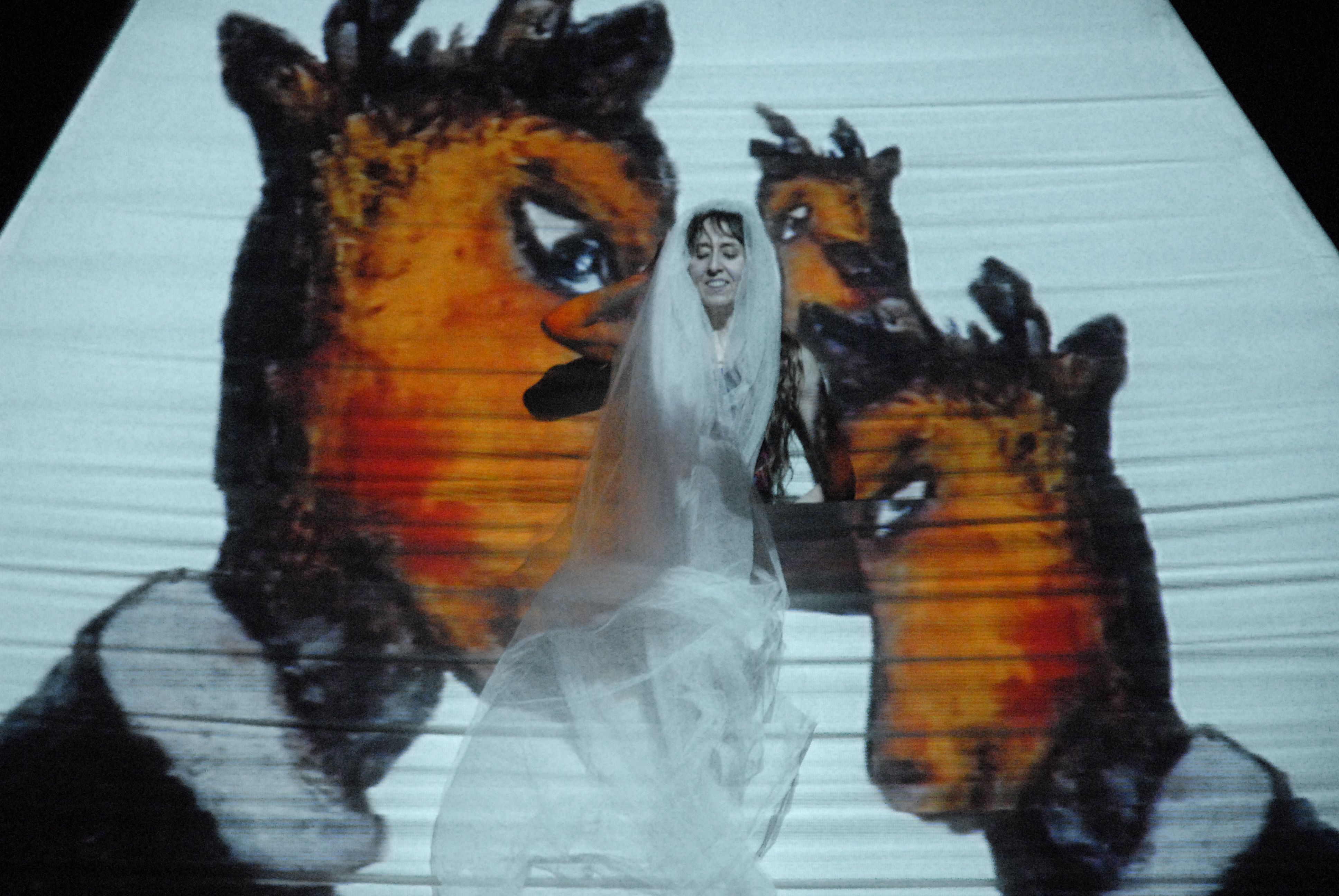 foto di Anima Blu 2011