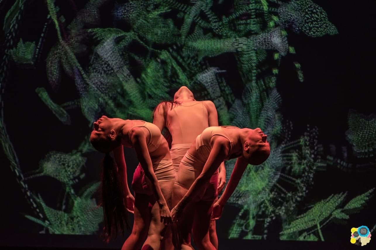 Herbarium di Kamilia Kard (2023) foto di scena